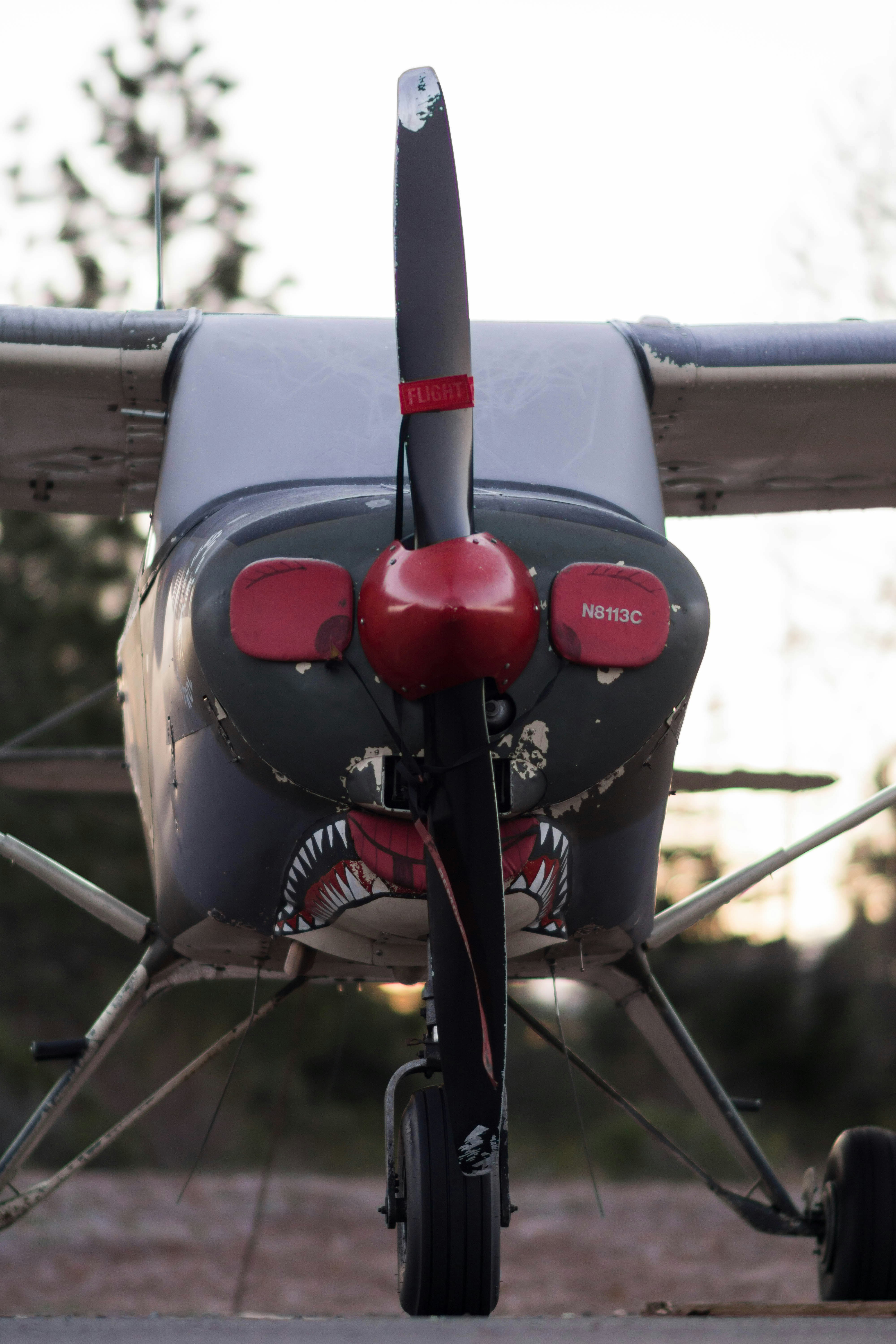 closeup photo of plane during daytime